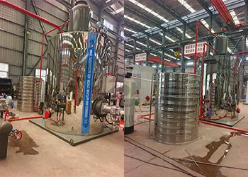 2 ton vertical gas steam boiler for a food factory in philippines