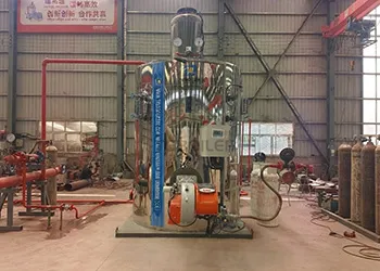 2 ton vertical gas steam boiler for a food factory in philippines
