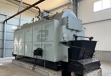 TGBOILER 3 Ton Biomass Steam Boiler for Brazilian Meat Processing Plant