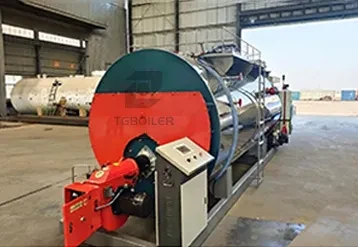 1.5 Ton Natural Gas Steam Boiler for a Plastic Processing Plant in Mexico