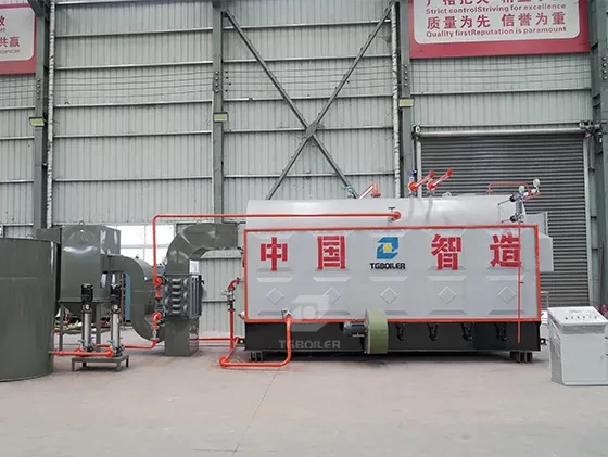 DZH Biomass Steam Boiler