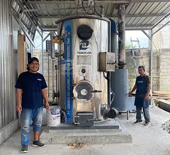 TGBOILER LHG vertical biomass boiler (3).webp