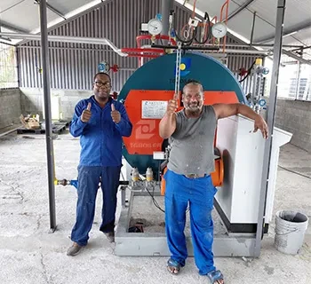 TGBOILER Skid-Mounted Type WNS Series oil gas Steam Boiler (1).webp