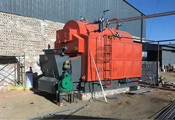 DZL Series 3 Ton Chain Grate Biomass-Fired Boiler for a Rubber Processing Plant in Thailand