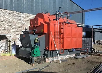 DZL Series 3 Ton Chain Grate Coal-Fired Boiler for a Rubber Processing Plant in Thailand (2).webp