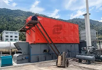 10 t/h Biomass Steam Boiler for a Food Processing Plant Project in Southeast Asia