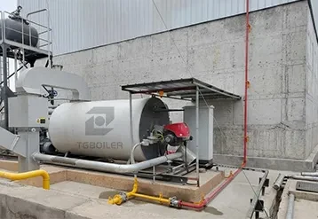 1,000 KW Gas-Fired Thermal Oil Boiler for a Food Processing Plant Project in the Philippines