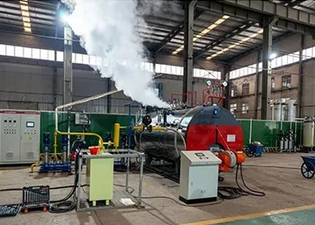 3 Ton Gas-Fired Steam Boiler Shipped to the UK  TGBOILER (1).webp