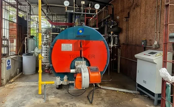TGBOILER 2 TPH Natural Gas Steam Boiler Successfully Delivered to Jamaica