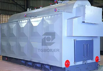 DZH 2Ton Biomass Steam Boiler for Indonesia's Textile and Dyeing Industry