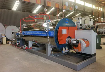 TGBOILER 1 Ton Steam Boiler Will Be Used For Livestock Farming In Trinidad