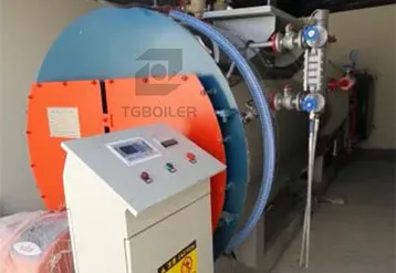 Sri Lankan Garment Factory Customizes TGBOILER 1.5Ton Diesel Steam Boiler