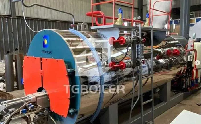 The WNS8 Series Dual-Fuel Steam Boiler Successfully Completed