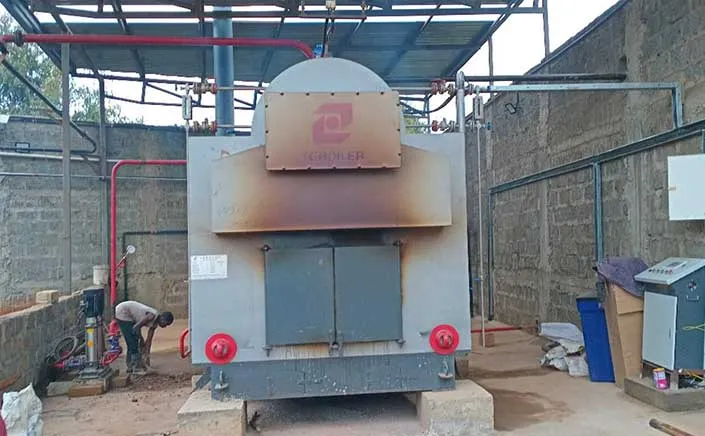 TGBoiler 2000kg/h Biomass Steam Boiler Is Working In Kenya