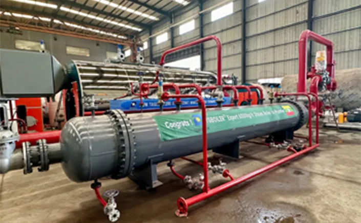 New Type Thermal Oil Heating & Gas Heating Steam Boiler YY(Q) WNS6-1.25-Y(Q) Was Successfully Completed