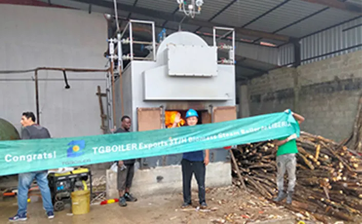 TGBOILER® Provides Engineering Service in Liberia for 3ton/h Biomass Steam Boiler