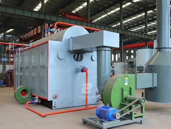 DZH Biomass Steam Boiler