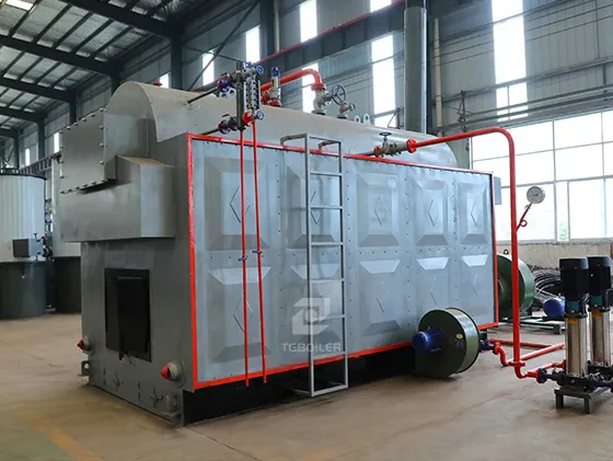 DZH Biomass Steam Boiler