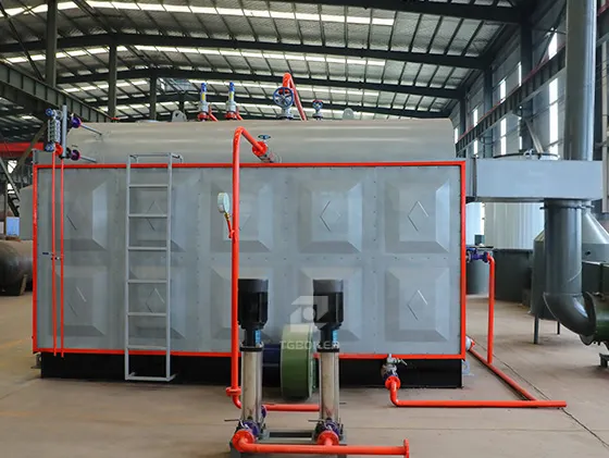 DZH Biomass Steam Boiler
