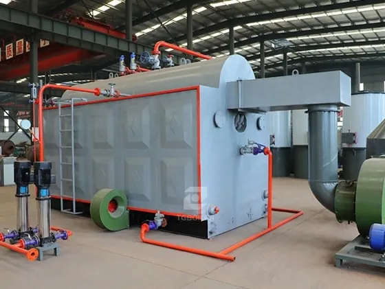 DZH Biomass Steam Boiler