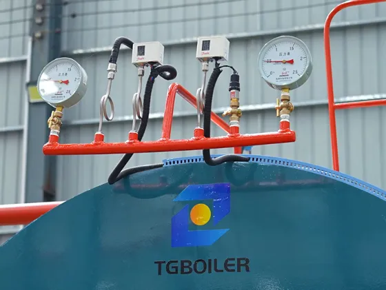 Skid-Mounted Type WNS Series Steam Boiler