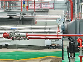 Feedwater Valves