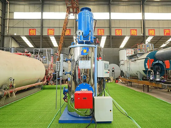 Skid-Mounted Type LHS Series Oil & Gas Steam Boiler