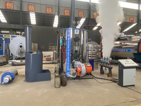 LHSG Multi-Fuel Steam Boiler