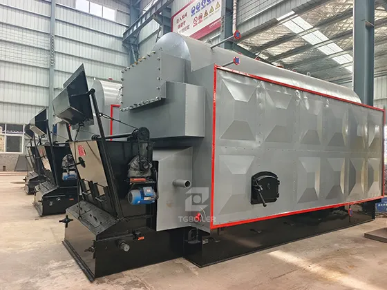 DZL Biomass Steam Boiler