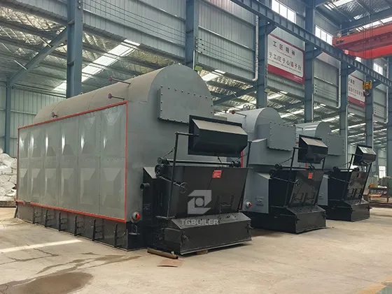 DZL Biomass Steam Boiler