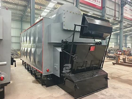 DZL Biomass Steam Boiler