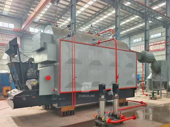 DZL Biomass Steam Boiler