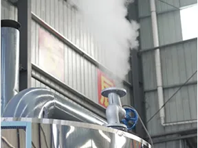Exhaust Valve