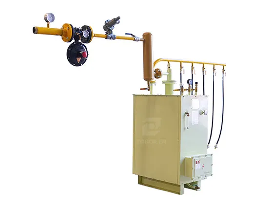 Liquid Gas Vaporizer