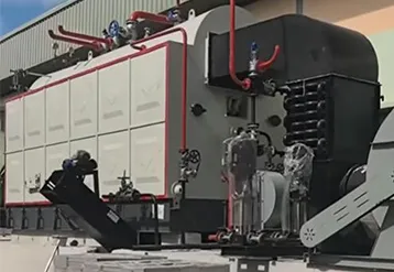 3 Ton Coal Fired Steam Boiler for Detergent Plant in Tanzania | DZL Series Case Study