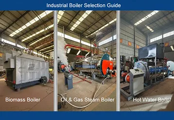 Steam, Hot Water, Or Biomass Boilers: Which One Should Your Industry Choose?