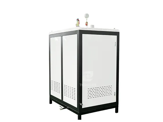 LDR Electric Steam Boiler