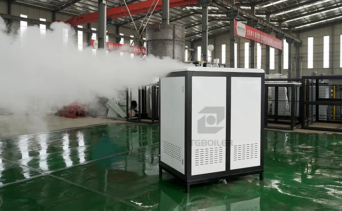 TGBoiler 300kg Electric Steam Generator to Ship to France
