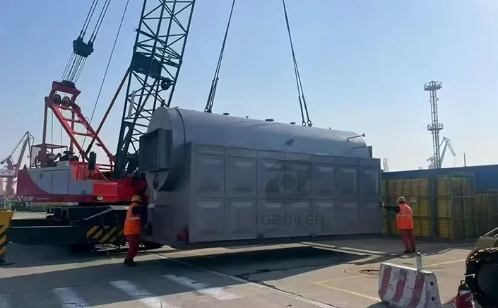 TGBoiler exports 5t/h Biomass-Fired Steam Boiler to Indonesia Project