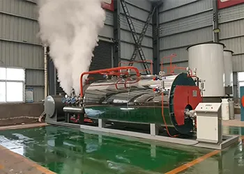 2TPH Natural Gas Steam Boiler for Food Processing Plant