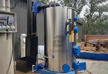 1t/h Biomass Steam Boiler for Wood Processing Plant