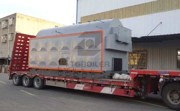 TGBoiler 2 ton Biomass Steam Boiler Exported to Pakistan