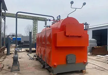 TGBOILER 4 TPH Chain Grate Boiler Project for Paper Mill in Russia