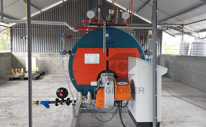 Success! Another WNS Series 2t/h Gas Fired Steam Boiler Delivered in Trinidad and Tobago