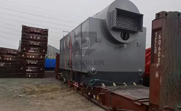 DZH Series 5 t/h Biomass Steam Boiler Shipped to Chile