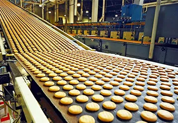 Guide to Selecting Steam Boilers for Food Processing Plants: How to Balance Efficiency and Food Safety?