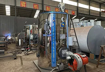1000kg/h Vertical Fire-Tube Boiler Powers Mushroom Farm