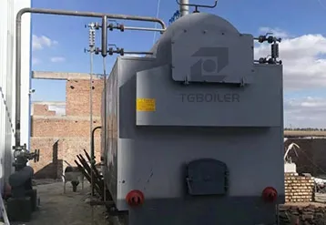 2 Ton Biomass Steam Boiler Installed at a Feed Mill in Cambodia
