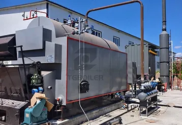 2 Ton Biomass Steam Boiler for a Household Chemicals Plant Project in Tanzania