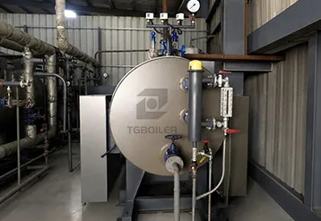 TGBOILER 1 Ton Electric Steam Boiler Empowers Food Processing Facility in Indonesia